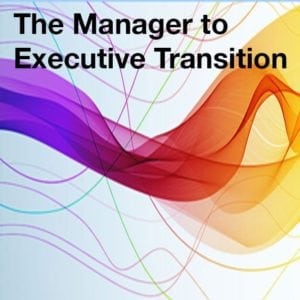 Manager to Executive Transition